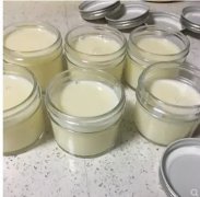 不同的花胶功效一样吗(鱼胶和花胶、鱼胶和花胶的区别是什么？