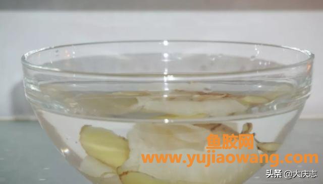 泡好的花胶能放多久 怎么保存(花胶怎么正确泡发?) 泡好的花胶能放多久 怎么保存(花胶怎么正确泡发?)
