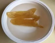干花胶怎么泡发窍门(花胶怎么发泡？)