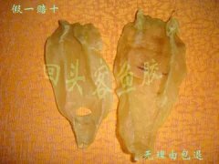 排名前10的花胶品名图片(哪个品种什么鱼胶最好？)