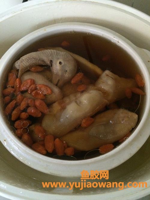 鸽子炖花胶做法与功效(花胶炖鸽子的做法)