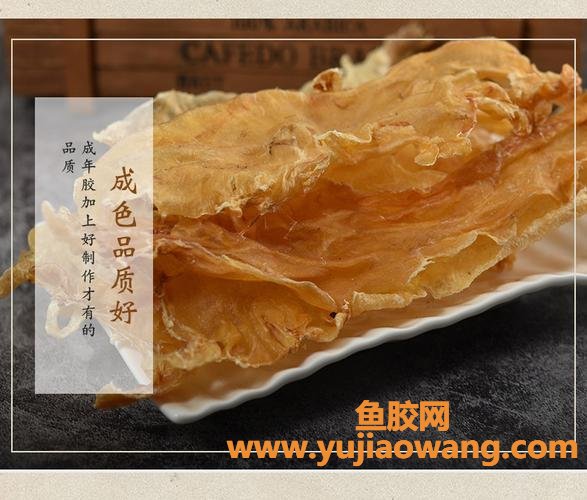 鳕鱼胶是花胶中差的吗
