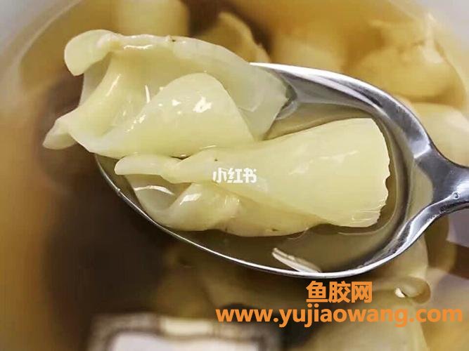 花胶炖红枣枸杞的功效(花胶西洋参炖红枣枸杞功效)