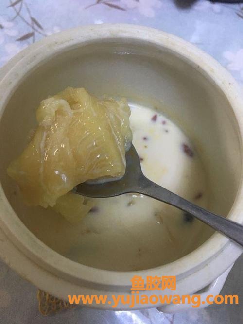 花胶炖牛奶需要炖多久(牛奶炖花胶是一起炖吗)