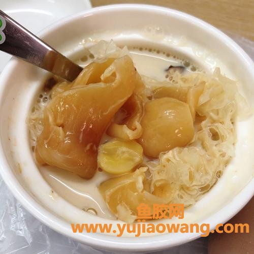 花胶炖牛奶冰箱放几天(花胶炖牛奶放冰箱为什么变成果冻了)