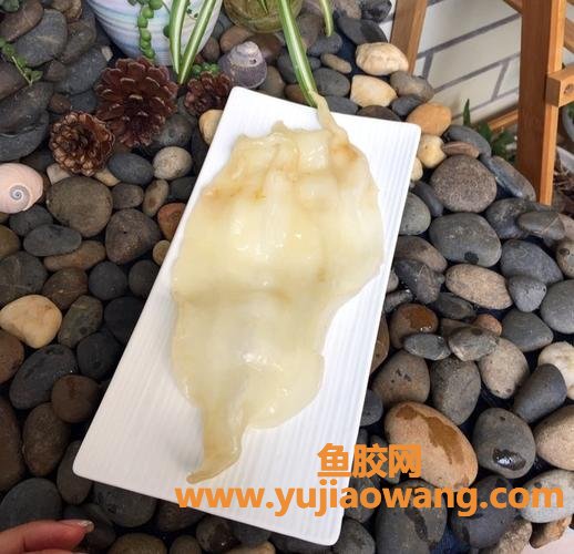 花胶怎么泡发多长时间(花胶一般泡多长时间)