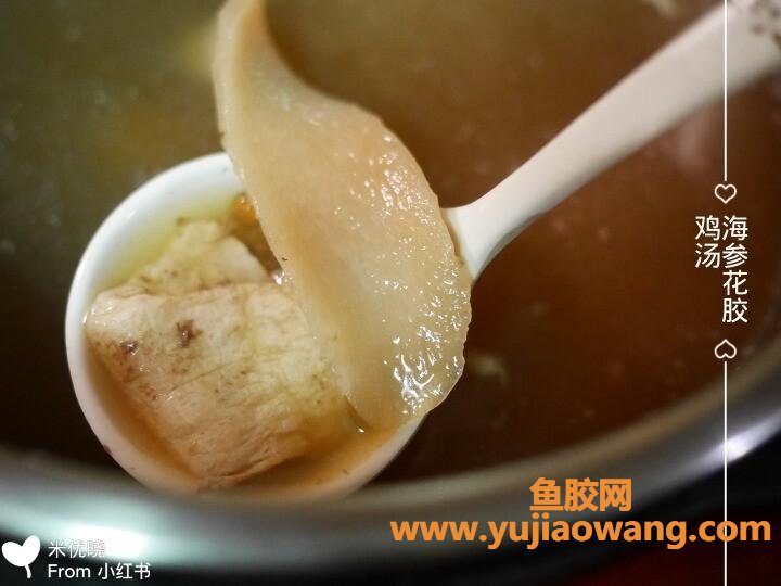 海参花胶乌鸡汤的功效(花胶乌鸡汤的做法功效)