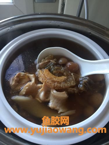 海参炖花胶功效和作用(花胶海参炖瘦肉的功效和作用)