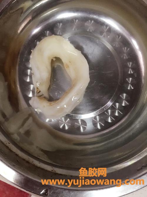 泡花胶用热水还是冷水(鱼胶用温水还是冷水泡)