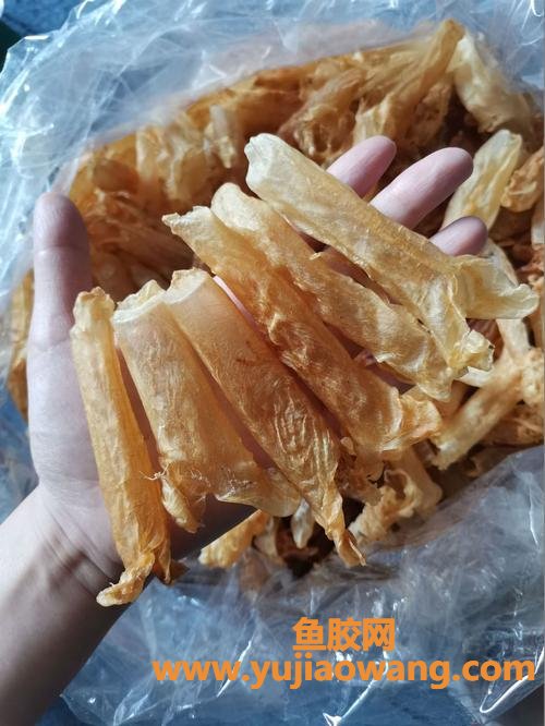 新鲜鱼泡和花胶哪个好(新鲜鱼泡好还是花胶好)