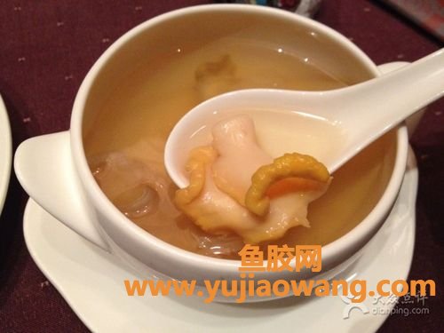 响螺花胶鸡汤功效(花胶炖响螺鸡汤功效)