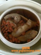 鸽子炖花胶做法与功效(花胶炖鸽子的做法)