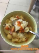 花胶燕窝可以一起炖吗(燕窝可以和花胶一起炖吗)