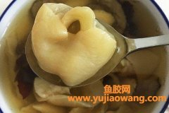 花胶和新鲜鱼肚的区别(花胶和新鲜鱼肚的区别在哪里)