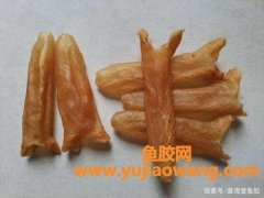 花胶功效与作用及禁忌(鳕鱼花胶的功效与作用、禁忌和食用方法