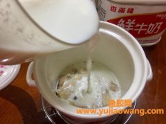 牛奶炖花胶孕妇的做法(孕妇吃花胶炖牛奶做法)