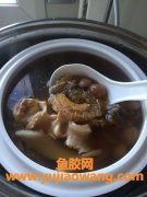 海参炖花胶功效和作用(花胶海参炖瘦肉的功效和作用)