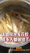 如何保存泡发后的花胶(泡发的粉丝如何保存)