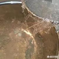 花胶桃胶皂角米雪燕怎么吨(雪燕桃胶皂角米怎么做?) 花胶桃胶皂角米雪燕怎么吨(雪燕桃胶皂角米怎么做?)