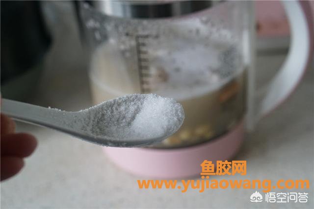 花胶可以和黄豆煲汤吗(牛蹄筋可以同黄豆、家禽类一起煲汤吗？)