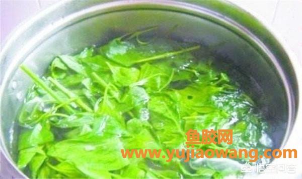 花胶可以和黄豆煲汤吗(牛蹄筋可以同黄豆、家禽类一起煲汤吗？)