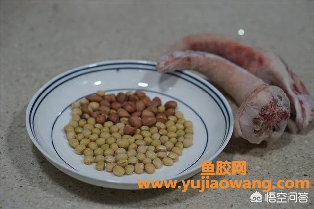 花胶可以和黄豆煲汤吗(牛蹄筋可以同黄豆、家禽类一起煲汤吗？)