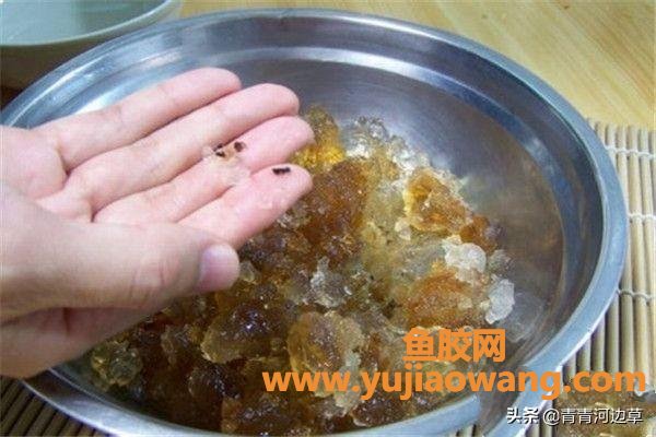 花胶桃胶糖水(花胶桃胶银耳可以一起煲糖水吗？)