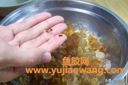 花胶桃胶糖水(花胶桃胶银耳可以一起煲糖水吗？)