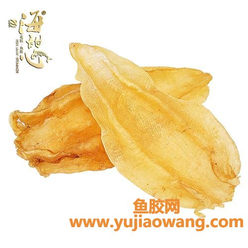 鱼胶花胶(花胶和鱼胶的区别在哪里)
