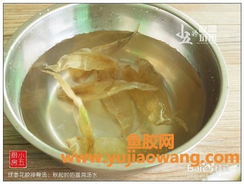 鱼胶的正确泡发方法(泡发鱼胶的正确方法)