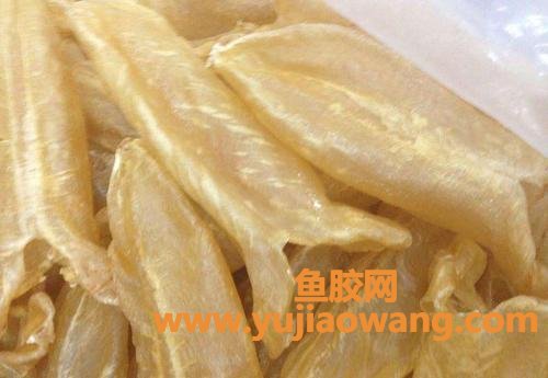 新鲜鱼肚和干鱼肚哪个有营养(新鲜鱼肚好还是干的鱼肚好)