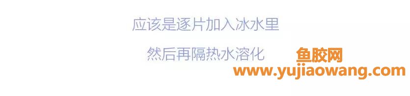 (鱼胶遇热会融化吗)如何融化鱼胶粉和鱼胶片_入厨101