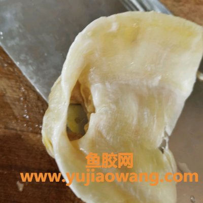 (鱼胶花旗参红枣排骨做法)吃了这碗花胶鱼胶炖汤炖奶,一口下肚感觉超 (鱼胶花旗参红枣排骨做法)吃了这碗花胶鱼胶炖汤炖奶,一口下肚感觉超