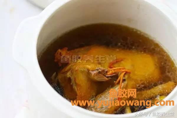 (鱼胶和鸽子的功效与作用)“一鸽胜九鸡”，花胶炖鸽子，孕期吃有意想