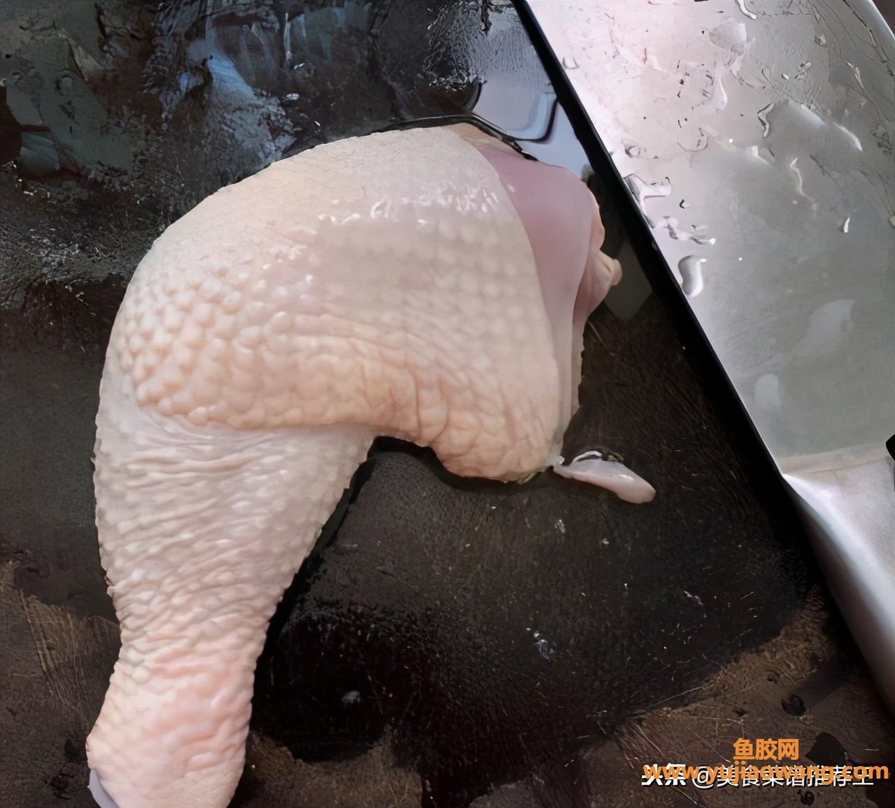 (鱼胶和鸡蛋胶怎么吃法大全)鲍鱼鸡蛋胶炖鸡汤美食推荐120期