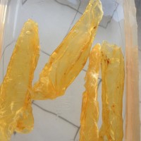 (石斛北芪鱼胶炖瘦肉的功效)一道花胶石斛瘦肉汤，在秋天转季时保护好