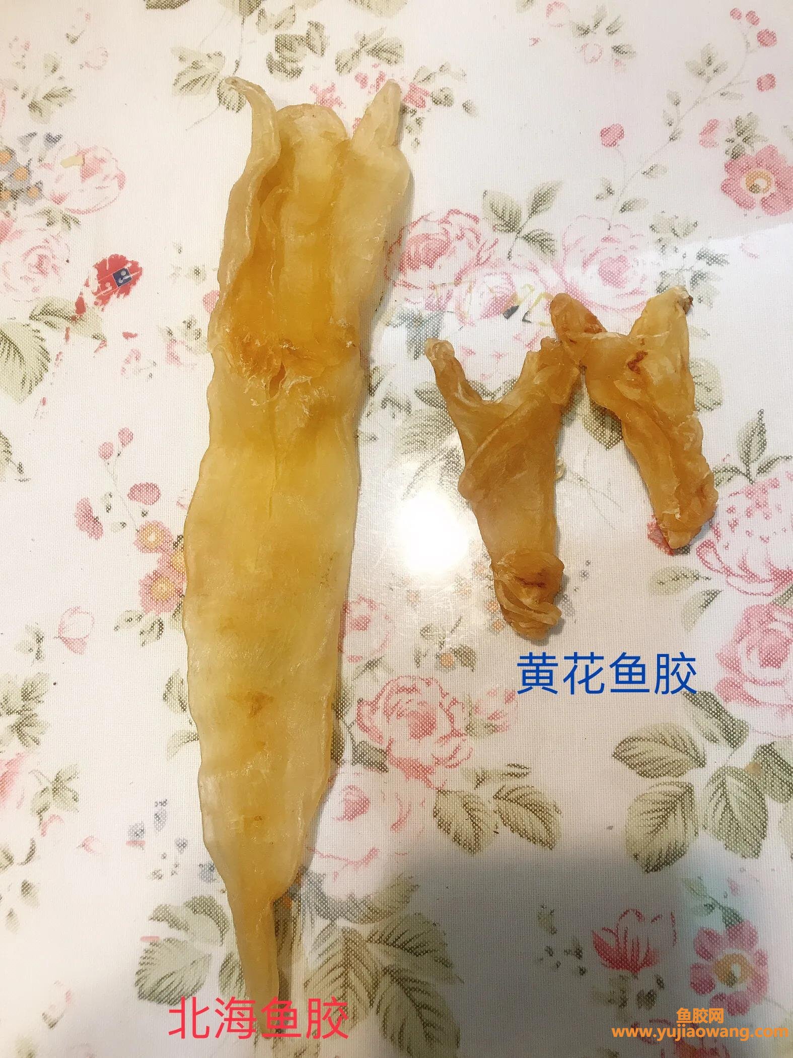 (牛奶炖鳕鱼胶的作用)鱼胶炖牛奶，满满的胶原蛋白