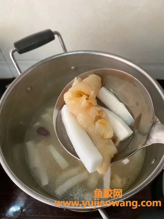 (椰子汁炖鱼胶的功效与作用)海南椰子肉煲出的鱼胶汤，味道真是绝了