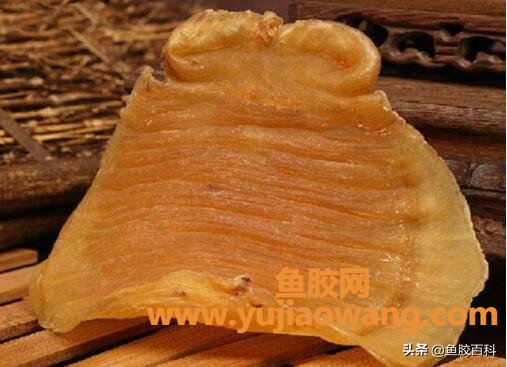 (干的鱼胶放冰箱冷冻)鱼胶百科_花胶长虫子了还能吃么,该怎么处理呢 (干的鱼胶放冰箱冷冻)鱼胶百科_花胶长虫子了还能吃么,该怎么处理呢