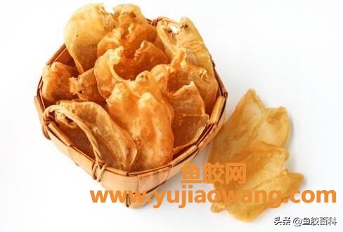 (干的鱼胶放冰箱冷冻)鱼胶百科_花胶长虫子了还能吃么,该怎么处理呢 (干的鱼胶放冰箱冷冻)鱼胶百科_花胶长虫子了还能吃么,该怎么处理呢