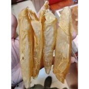 花胶炖牛奶可以美白吗(花胶炖牛奶窍门是什么？)