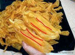 炖花胶要多长时间(鱼㬵怎么炖？炖多长时间好？)