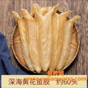 黄花胶如何食用(地黄花如何食用)