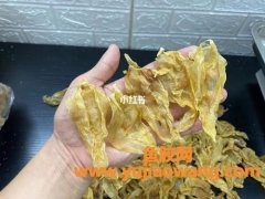 鱼胶贵还是花胶贵(鱼胶跟花胶哪个贵)