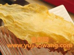 鱼胶是哪种鱼的鱼肚(花胶是哪种鱼的鱼肚)