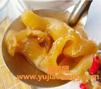 花胶一次放多少条煲汤