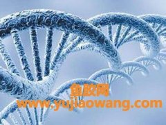 (鳕鱼胶原蛋白肽的副作用)山水修库说肽_吃“胶原蛋白肽”会产