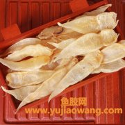 (鱼胶是不是过油的靓)鱼胶的挑选方法