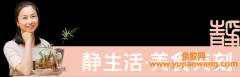 (野生羊肚菌煲鱼胶)静生活煲汤_乳鸽花胶羊肚菌汤