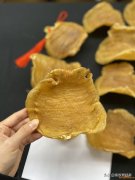 (红鸡赤嘴鱼胶能调宫寒吗)精品鱼胶鉴赏--红鸡赤嘴